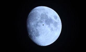 月亮代表我的心图片,月亮代表我的深情