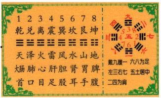 八卦对应身体,揭秘八卦与人体健康的神秘联系